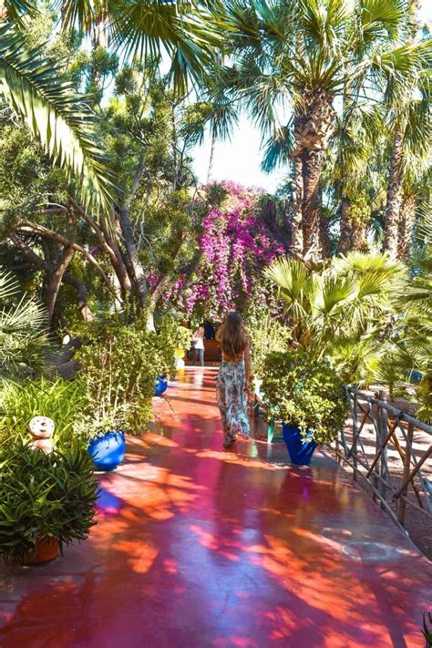 ysl garden marrakech|majorelle garden facts.